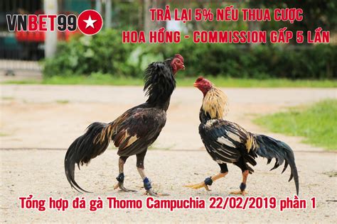 Tổng hợp video Gà Đá Giải .
